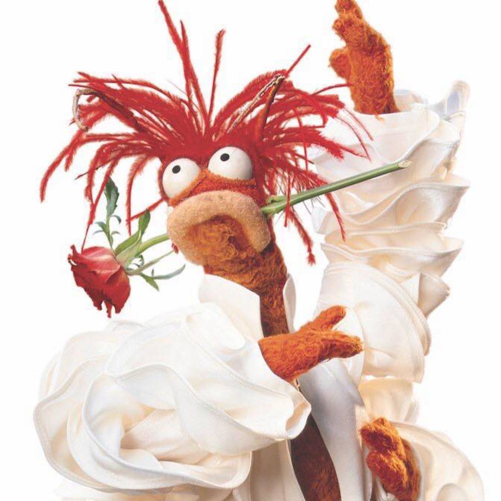 Meet your Posher, Patrick